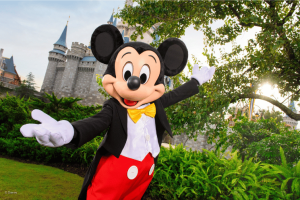 Logo Disneyland Paris — Ingresso 1 Dia