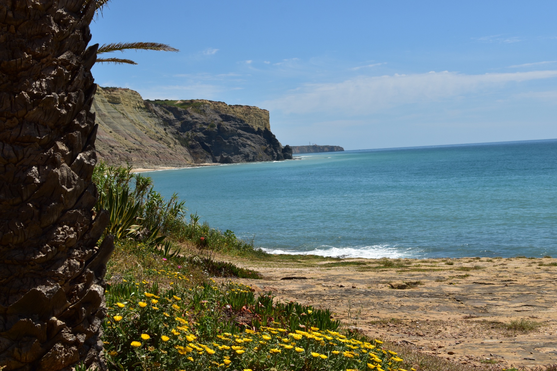 Praia da Luz — flores amarelas, palmeira e mar azul ao fundo